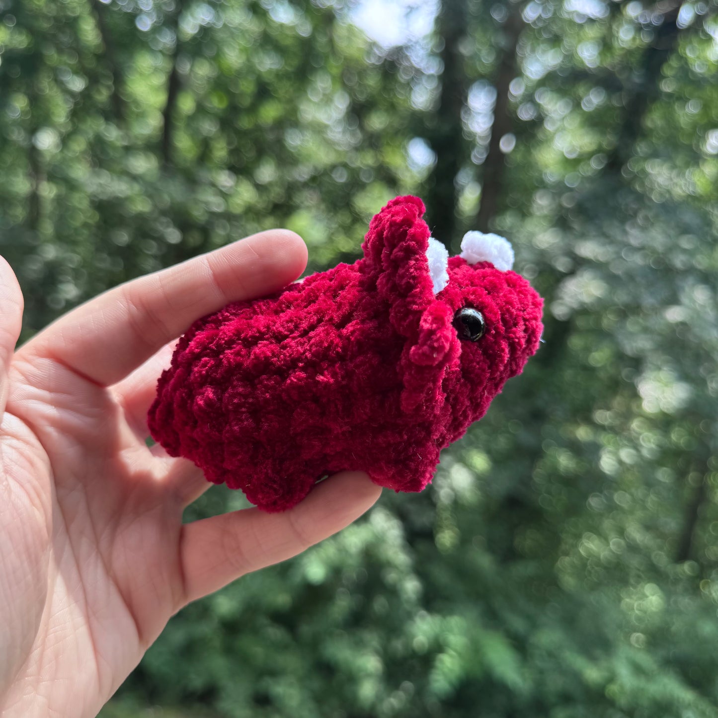 Mini Triceratops