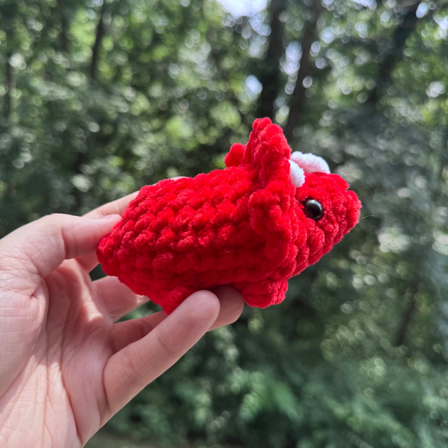 Mini Triceratops