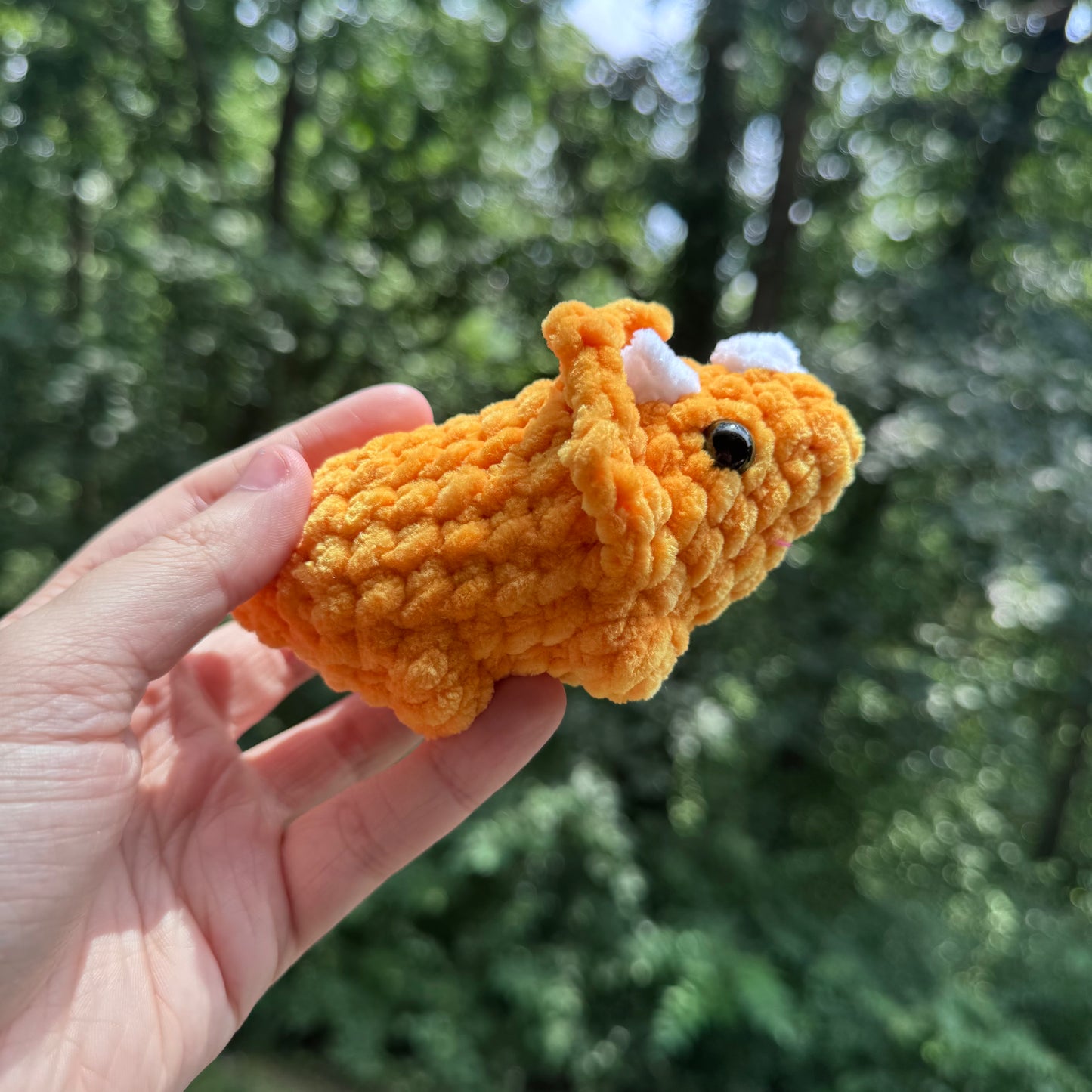 Mini Triceratops