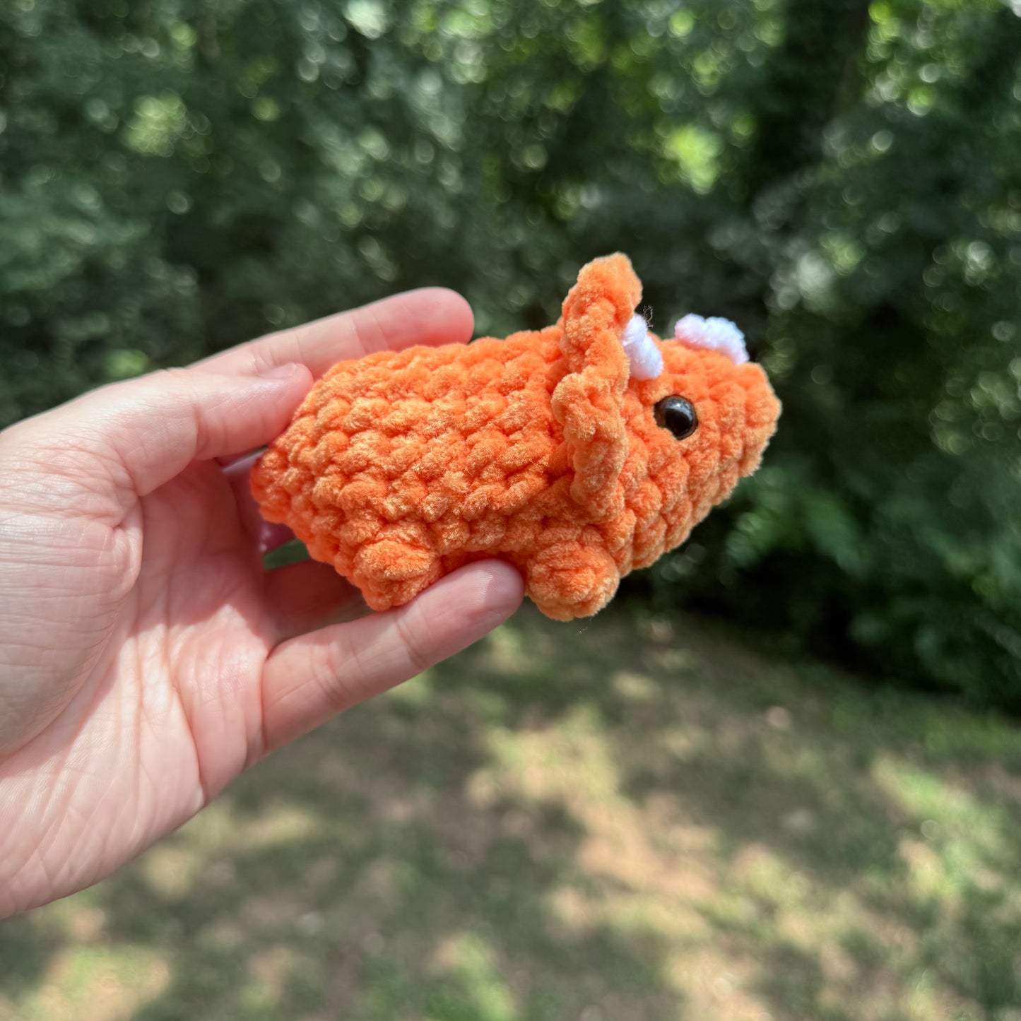 Mini Triceratops