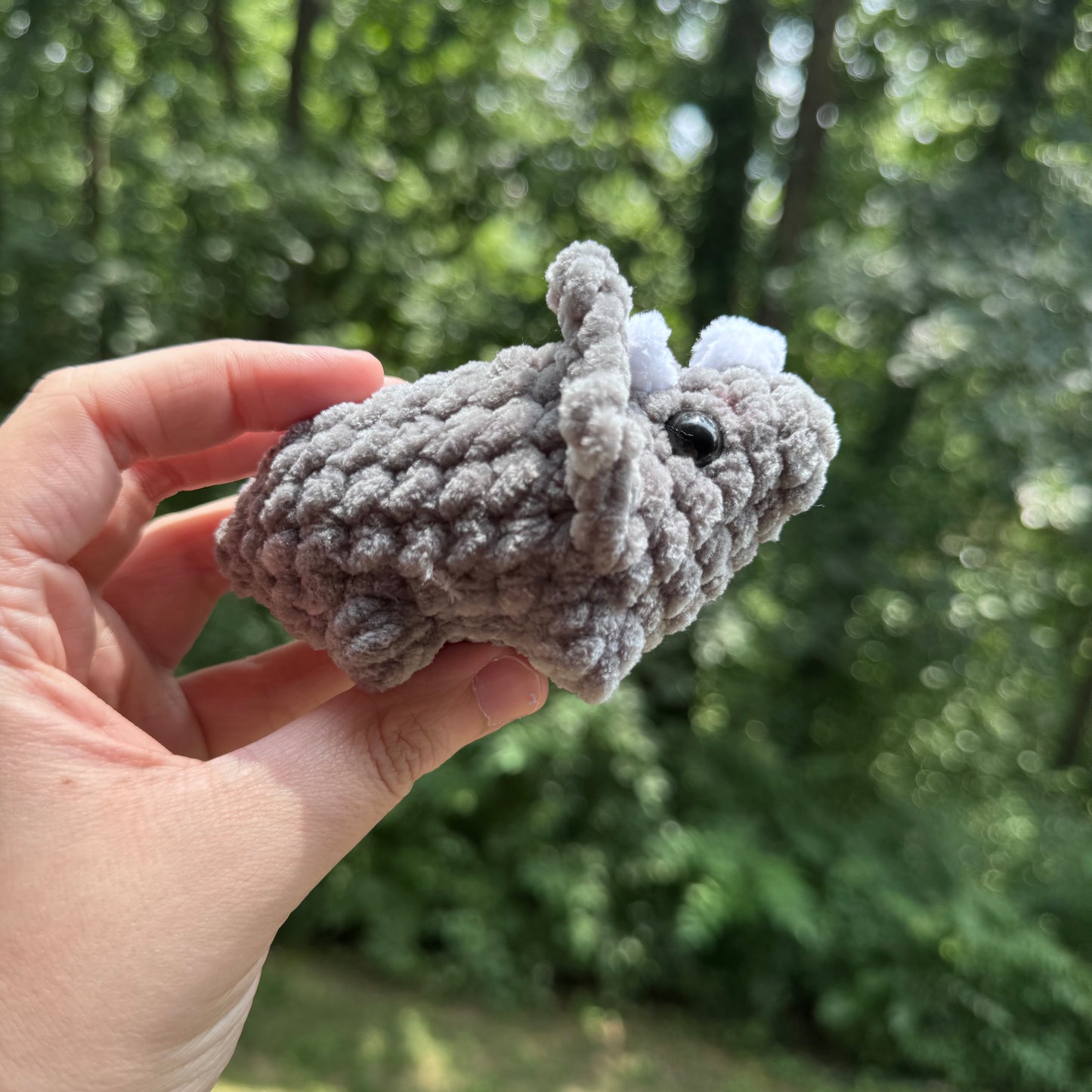 Mini Triceratops