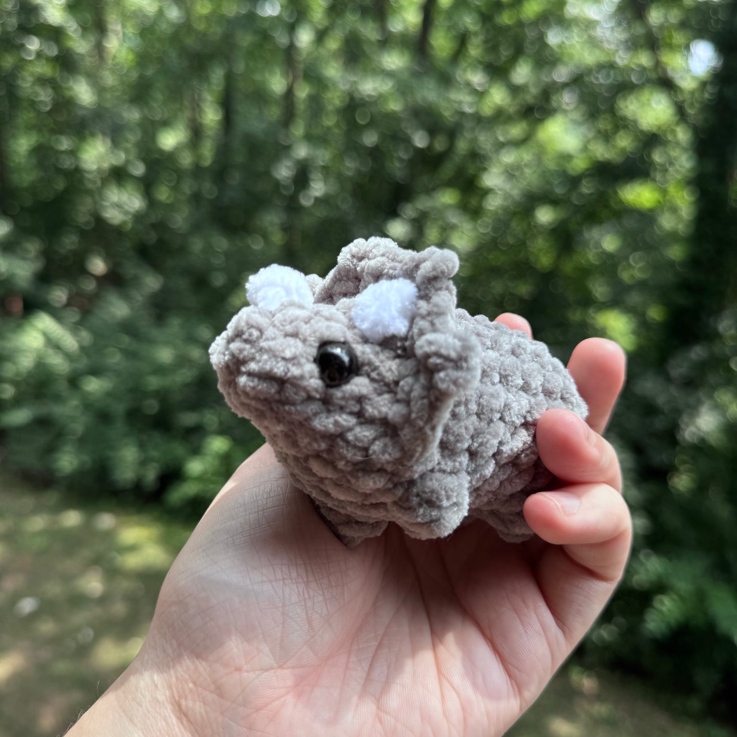 Mini Triceratops