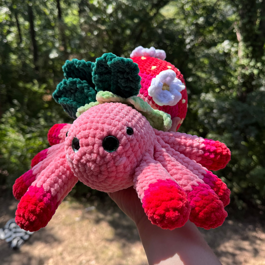 Strawberry Spider