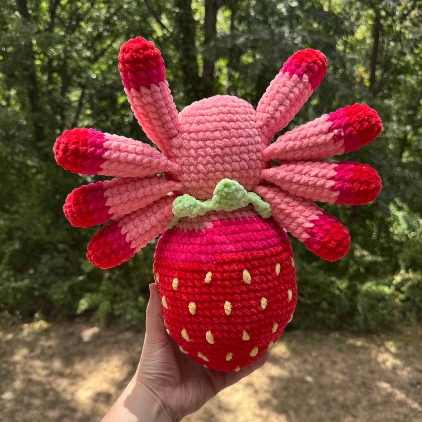 Strawberry Spider