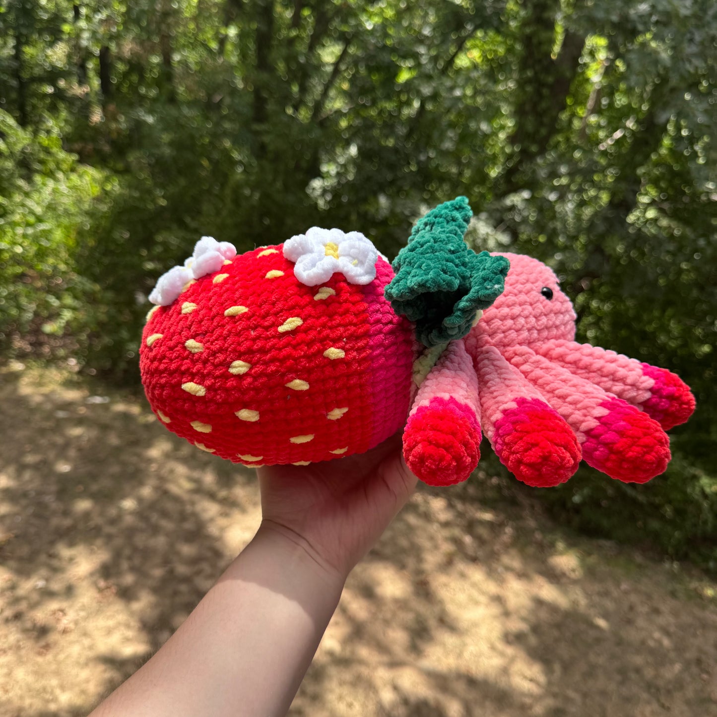 Strawberry Spider