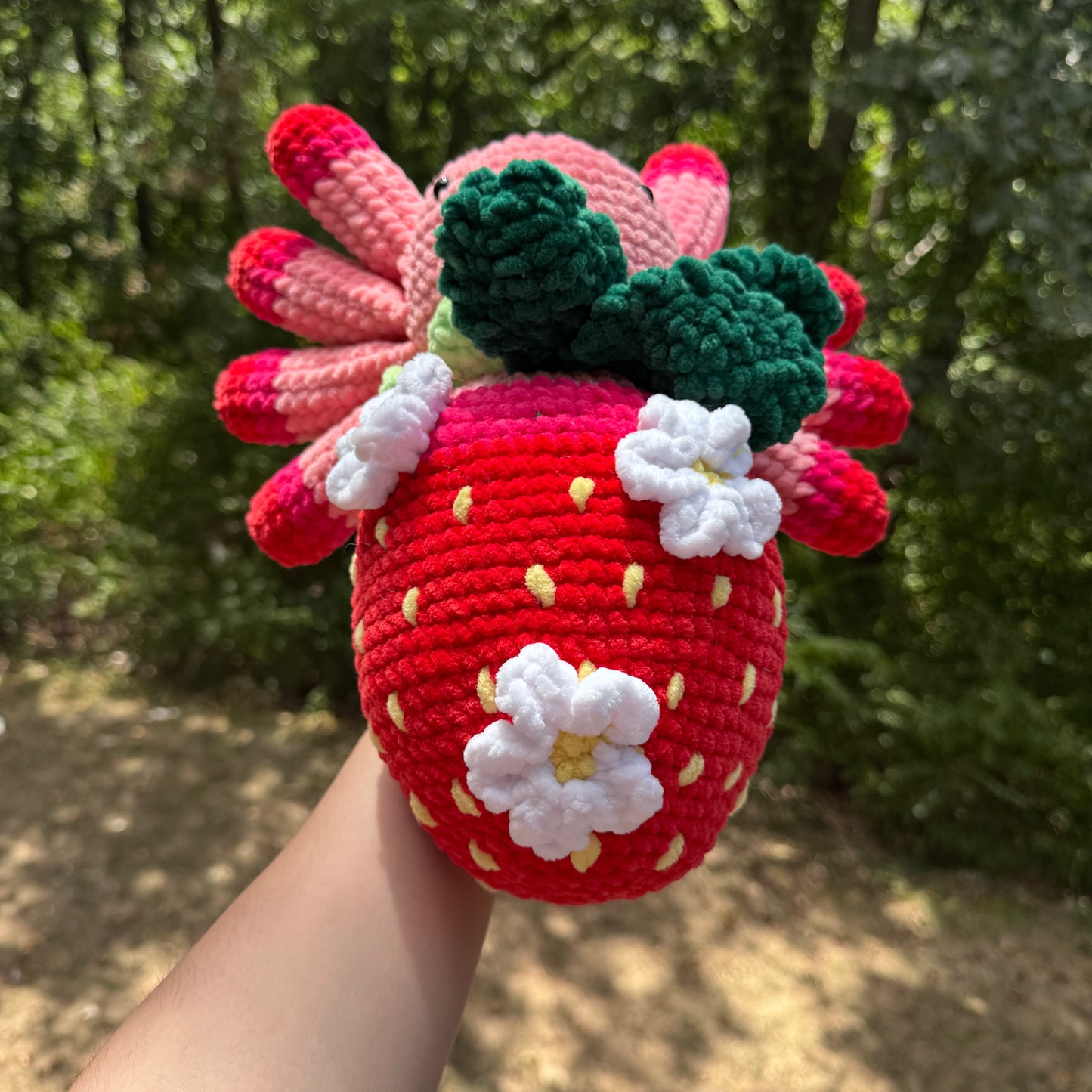 Strawberry Spider