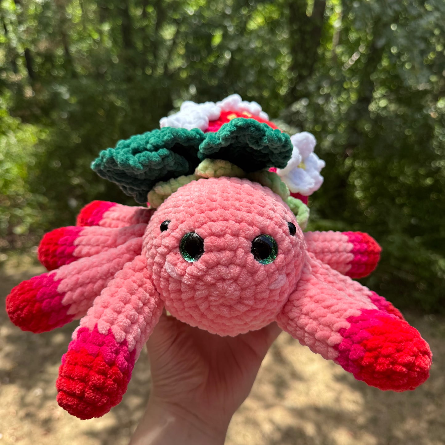 Strawberry Spider