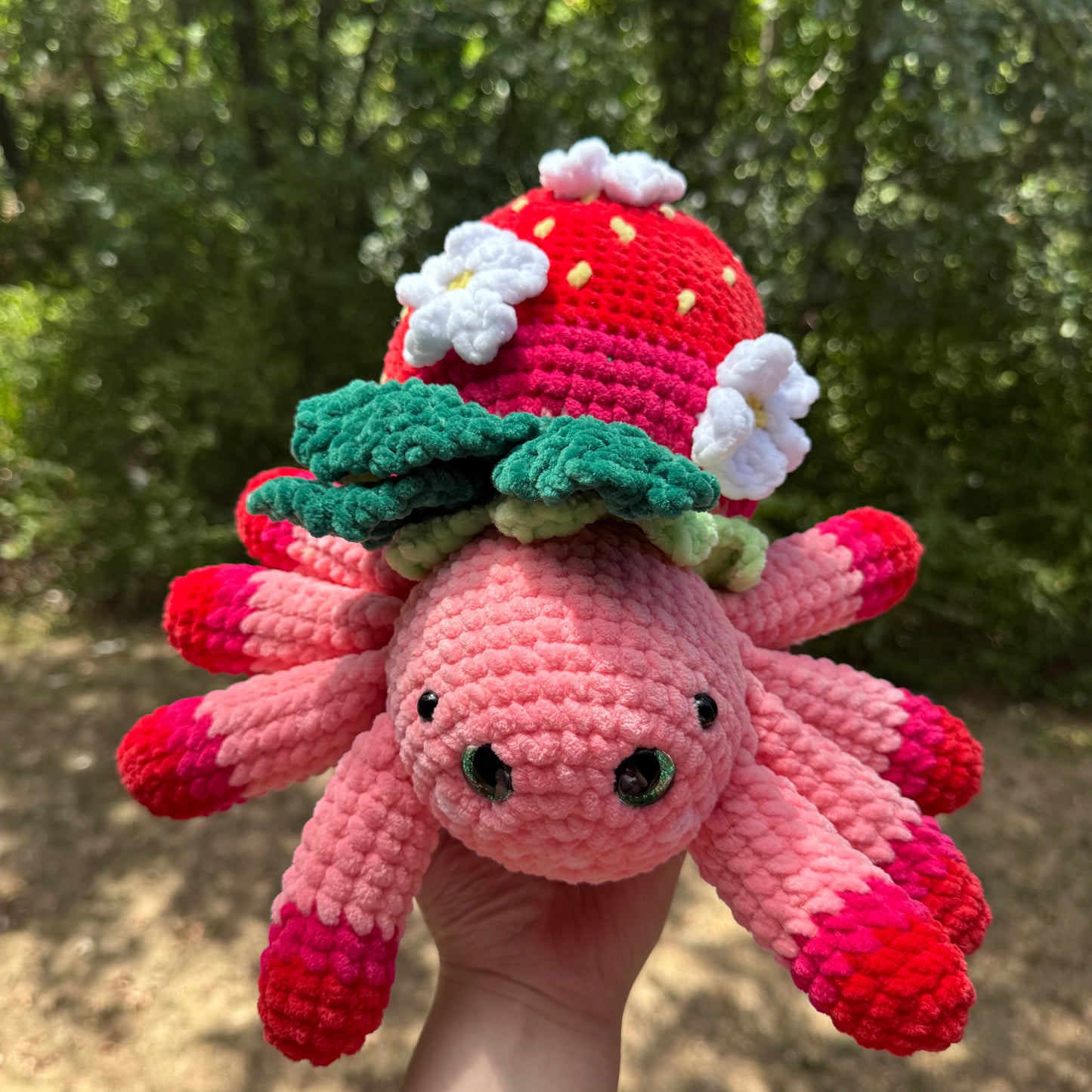 Strawberry Spider