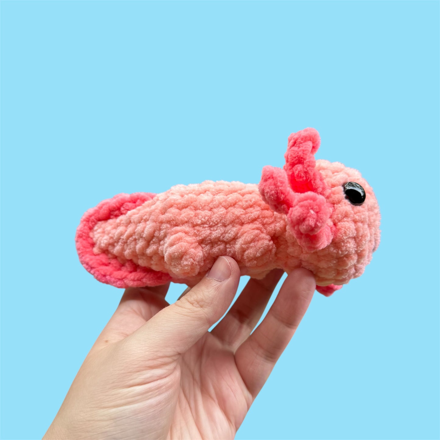 Axolotl