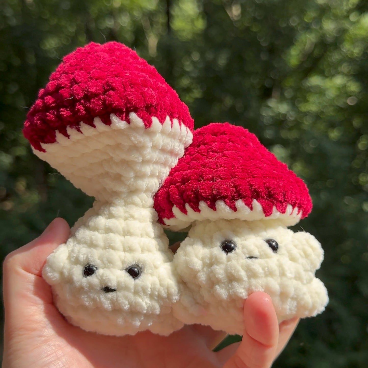 Popping Mushroom Fidgets